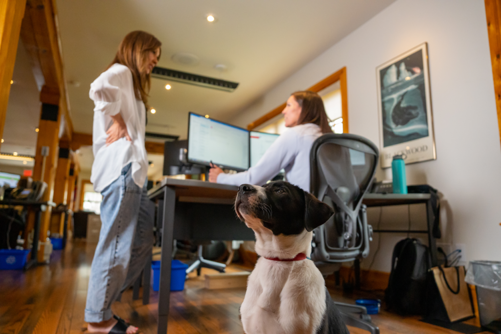Two office workers having a discussion while a dog sits patiently in the foreground.